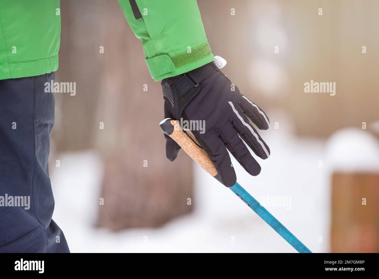Nordic Walking. Gesunder Lebensstil, Outdoor-Sport im Winter. Die Hand eines Mannes drückt beim Nordic Walking den Griff eines Gehstock. Befestigen Sie einen Stick an Ihrem Stockfoto