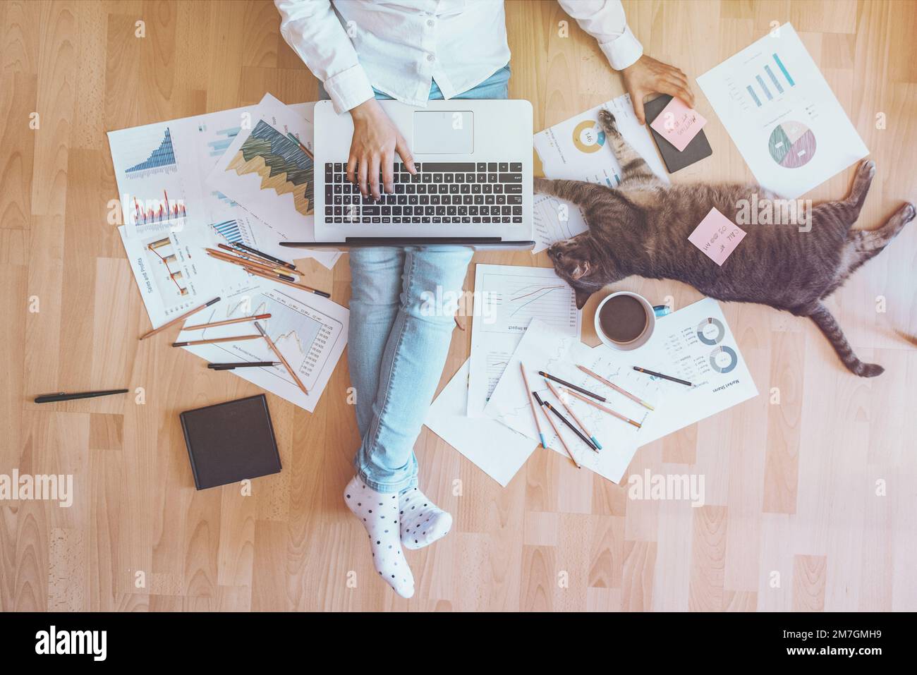 Ein legeres Mädchen, das mit seiner Katze an einem Laptop arbeitet. Home-Office-Konzept Stockfoto