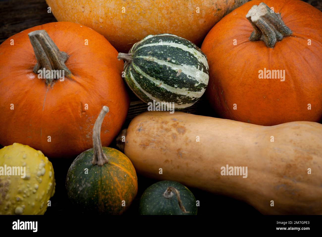 Kürbis. Verschiedene Kürbissorten auf hölzernem Hintergrund Stockfoto