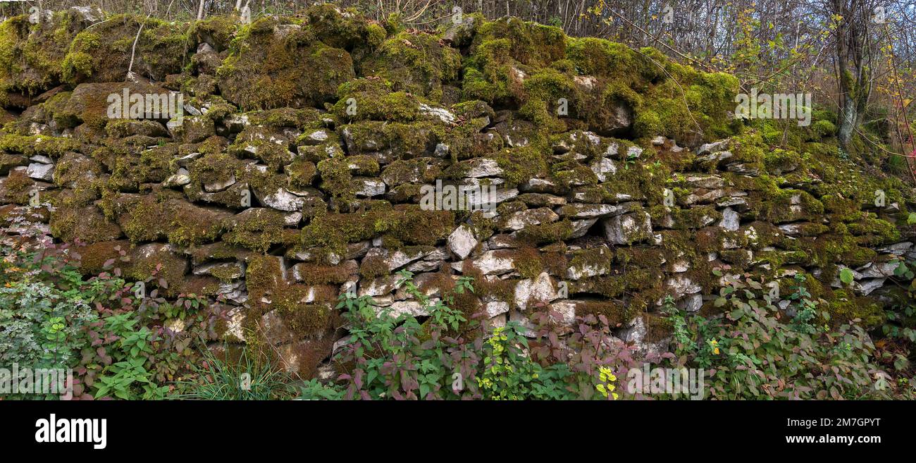 Mossy Dry stone Wall, Egloffstein, Franconische Schweiz, Oberfrankreich, Bayern, Deutschland Stockfoto
