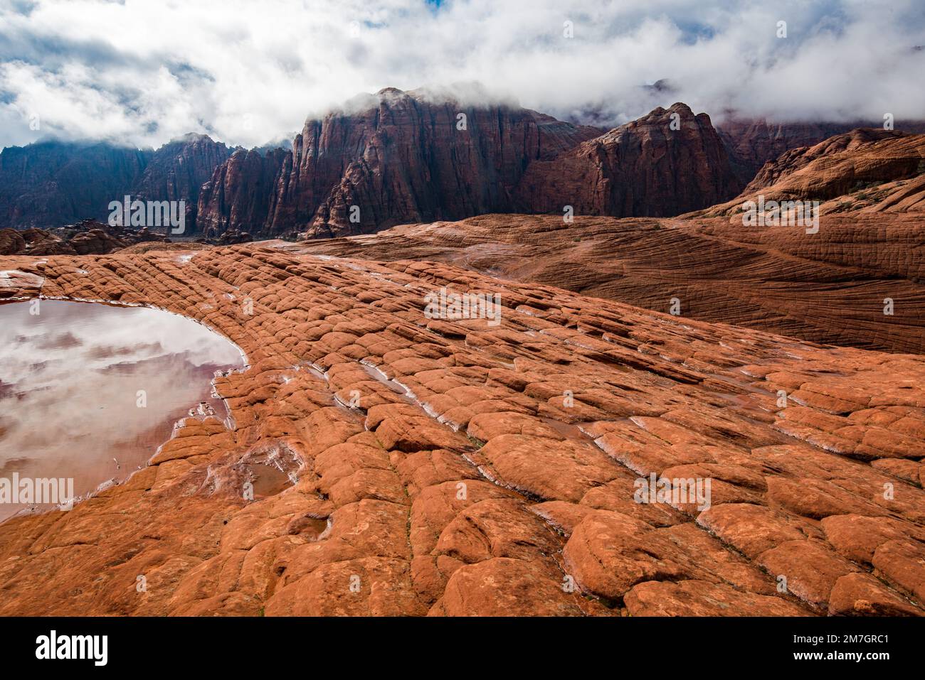 Die versteinerten Sanddünen im Snow Canyon State Park, Utah, USA, sorgen für Wasserspaß. Regen und Schnee sammeln sich in diesen kleinen Becken an. Stockfoto