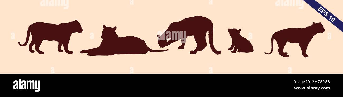 Schwarze Silhouetten von Katzen- und Katzenfußabdrücken auf hellbraunem Hintergrund isolieren Stock Vektor