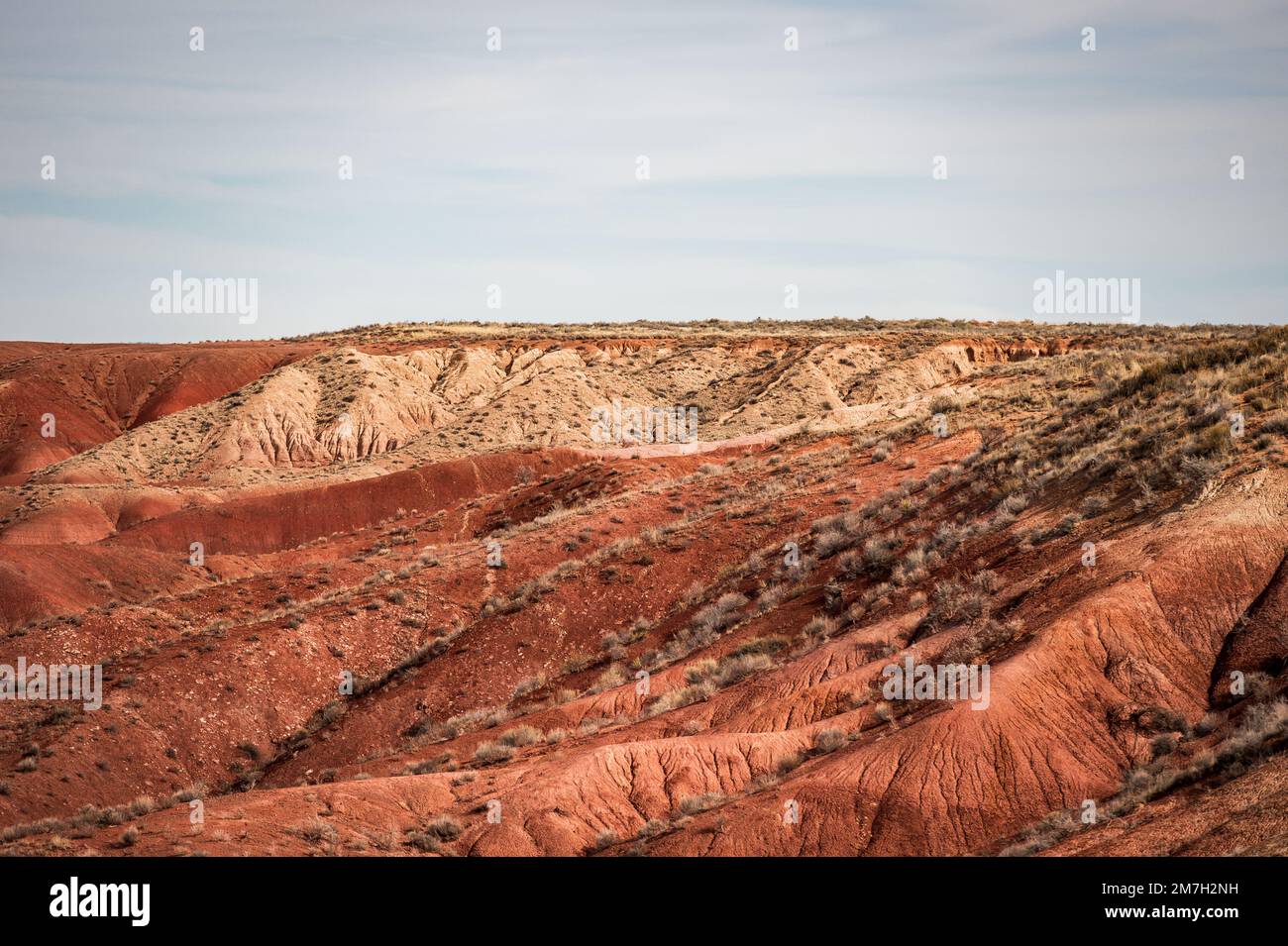 Versteinerter Forrest-Nationalpark Stockfoto