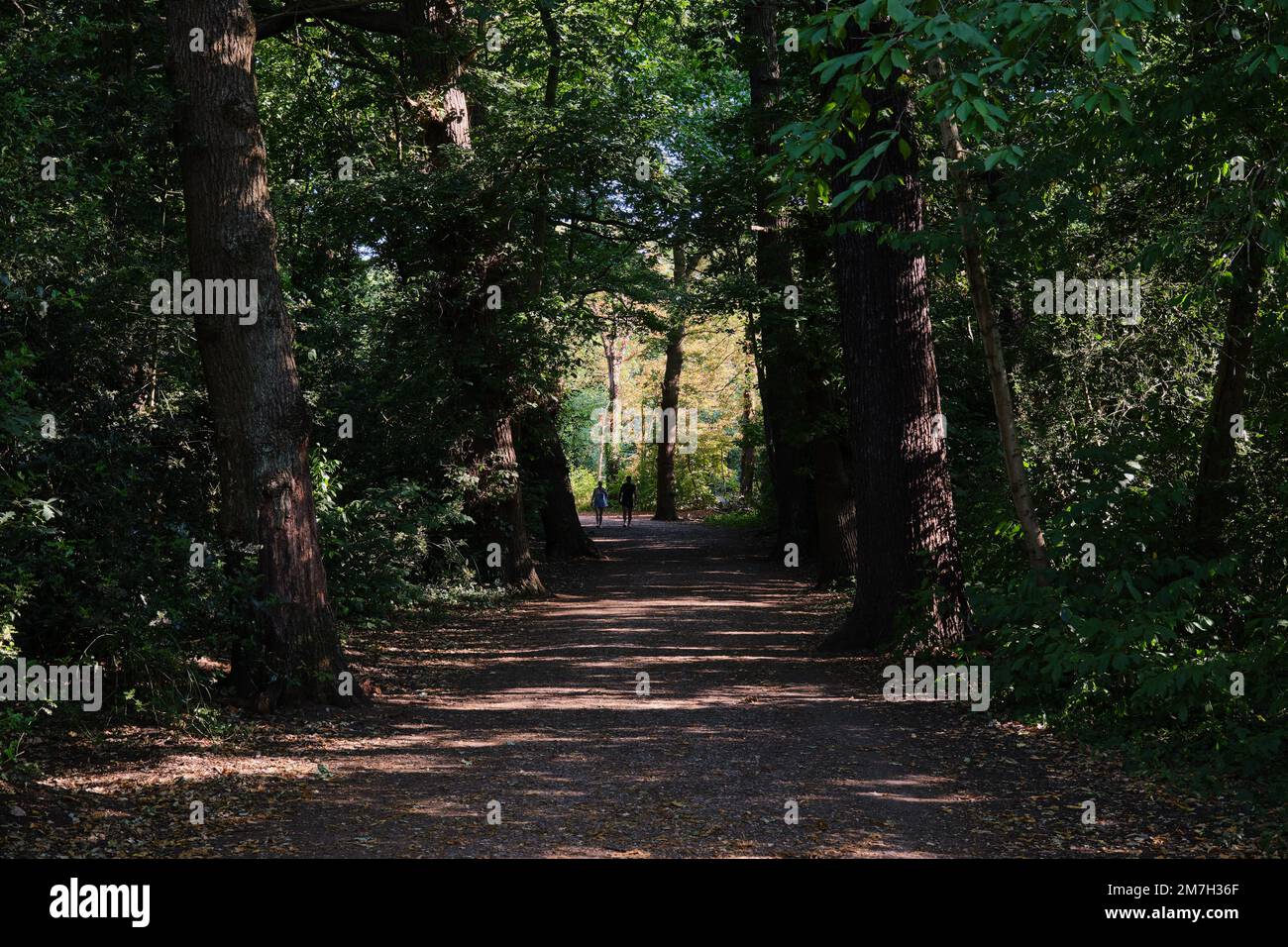 An einem heißen Sommertag spazieren ein Paar im Schatten der Bäume, die an einen Pfad im Wanstead Park, London, Grenzen, und nutzen die Kühle. Stockfoto