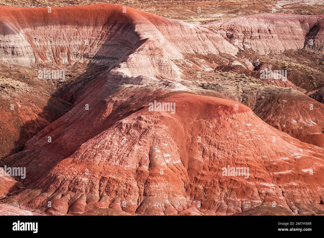 Versteinerter Forrest-Nationalpark Stockfoto