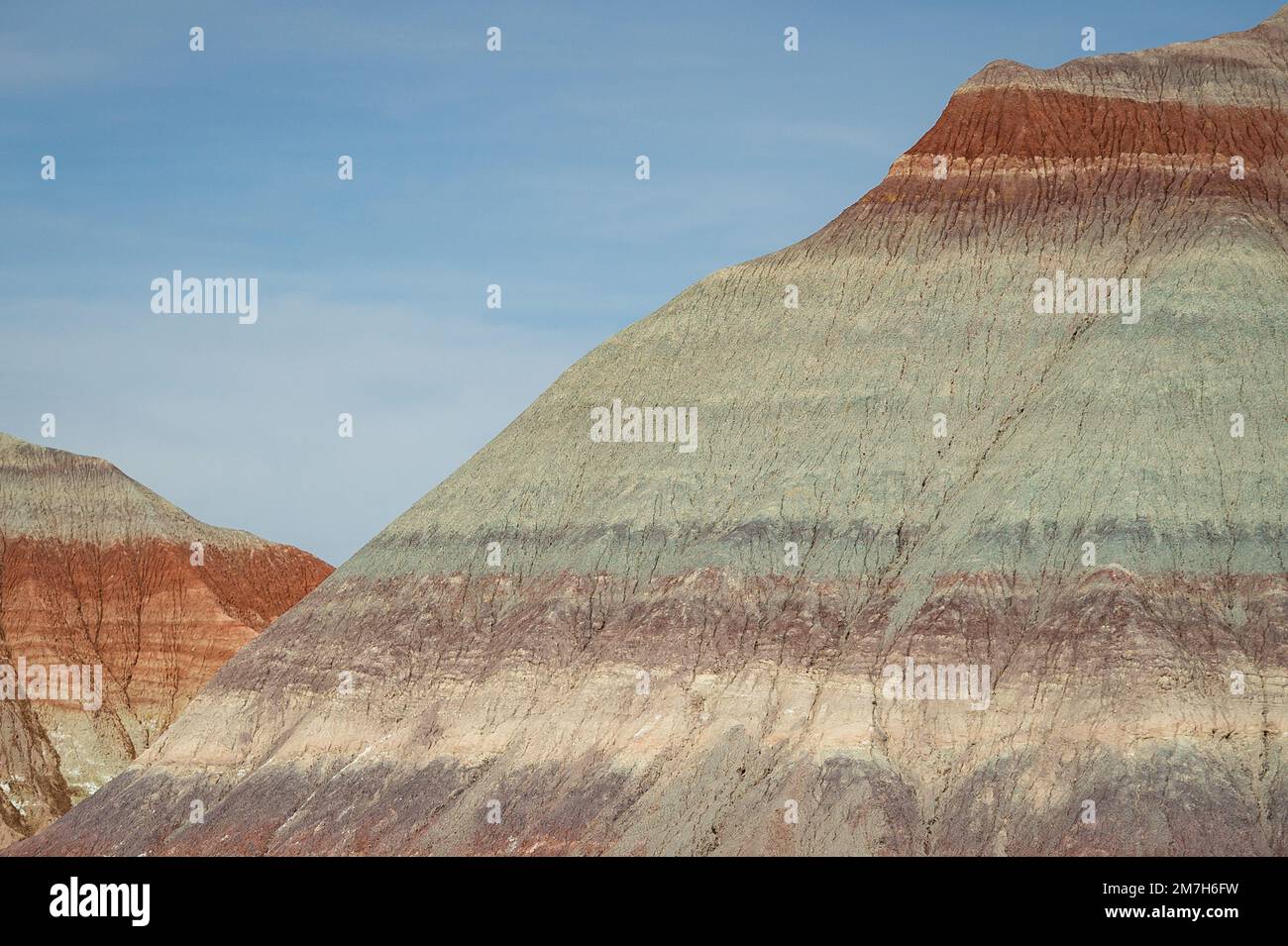 Versteinerter Forrest-Nationalpark Stockfoto