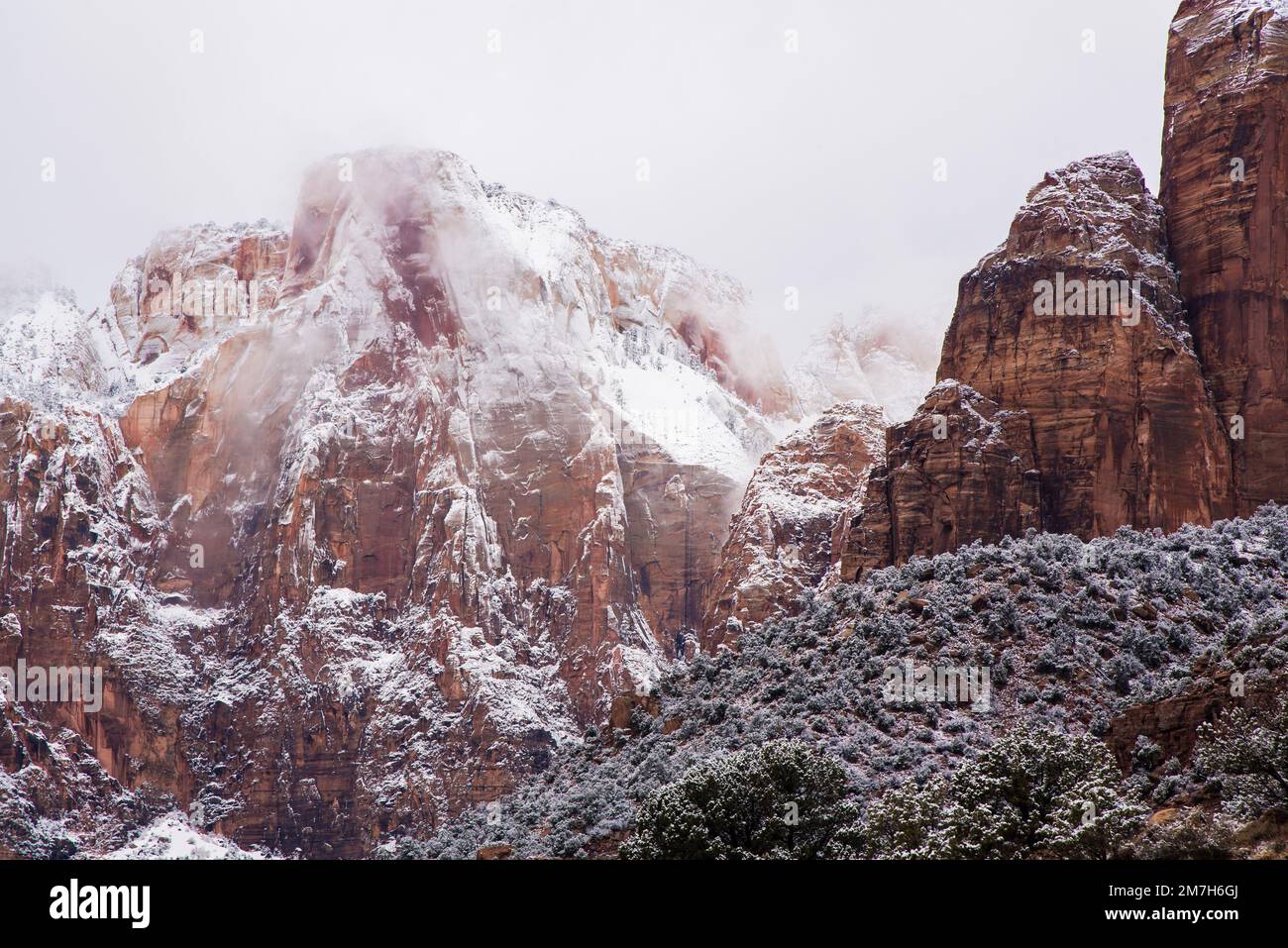 Schneefall im Winter im Zions-Nationalpark, Utah, USA. Dieser herrliche Park verwandelt sich nach einem schweren Sturm in ein Winterwunderland. Stockfoto