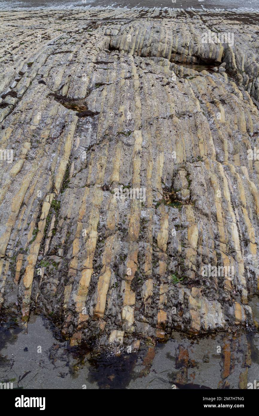 Der Rialto Beach in Washington, USA, ist Teil des Olympic-Nationalparks und hat viele interessante geologische Formationen, wie die Streifen auf Felsen. Stockfoto