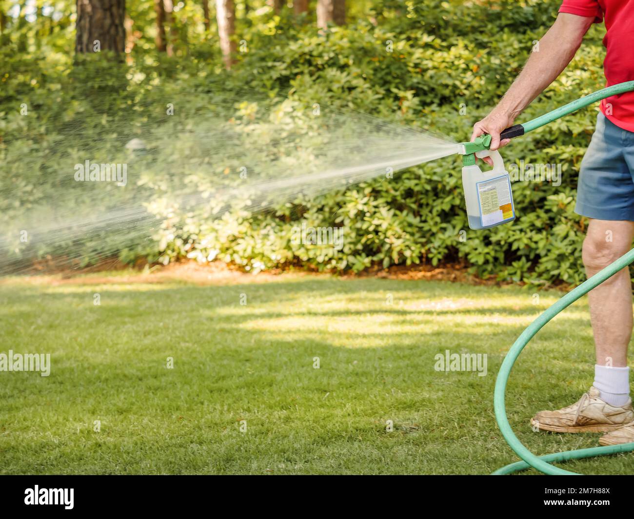 Mann düngt Rasen in Wohngebieten mit einem Spreuverteiler für Flüssigchemikalien. Landschaftsgärtner besprüht Rasen mit Dünger, Unkrautvernichter und Insektizid. Stockfoto