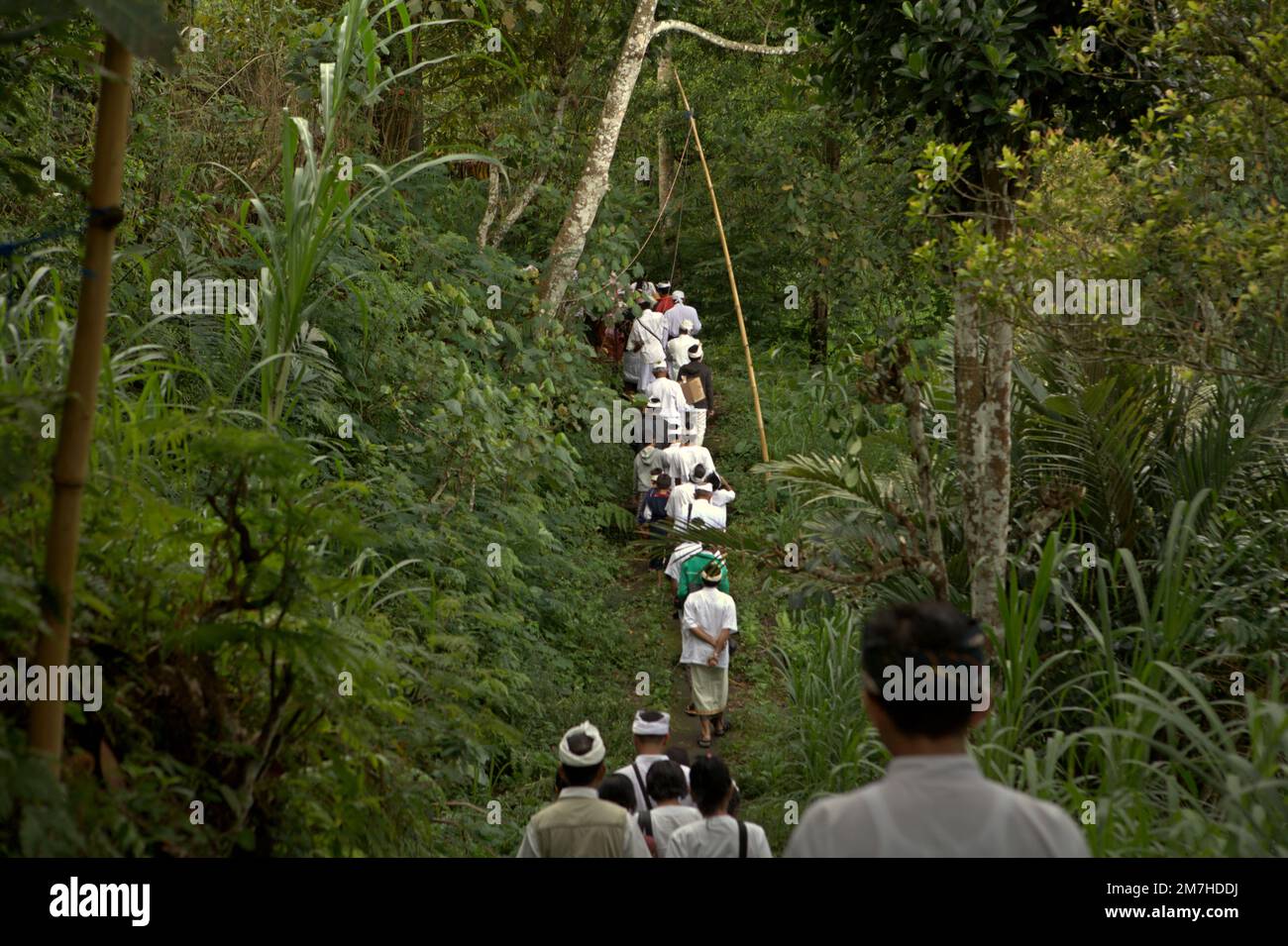 Ein balinesischer Clan läuft zusammen durch bewaldetes Land am Hang des Agung in Karangasem, Bali, Indonesien. Auf dem Weg zu einem Tempel in der Besakih-Tempelanlage führen sie eine Prozession durch, um die Geister ihrer verstorbenen Familienmitglieder zu ehren und zu reinigen. Stockfoto