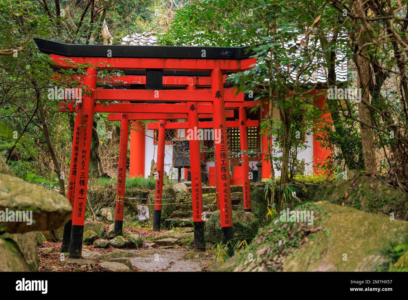 Leuchtend rote japanische Tore auf einem steinernen Fußweg zu einem kleinen Schrein in den Wäldern Stockfoto