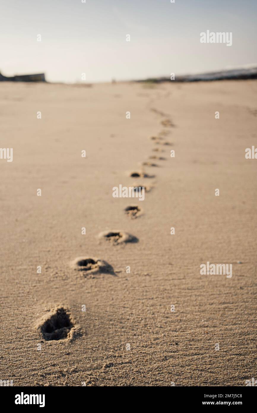 Minimalistische Szene mit einem Satz Fußabdrücke im Sand, die im Hintergrund abnimmt Stockfoto