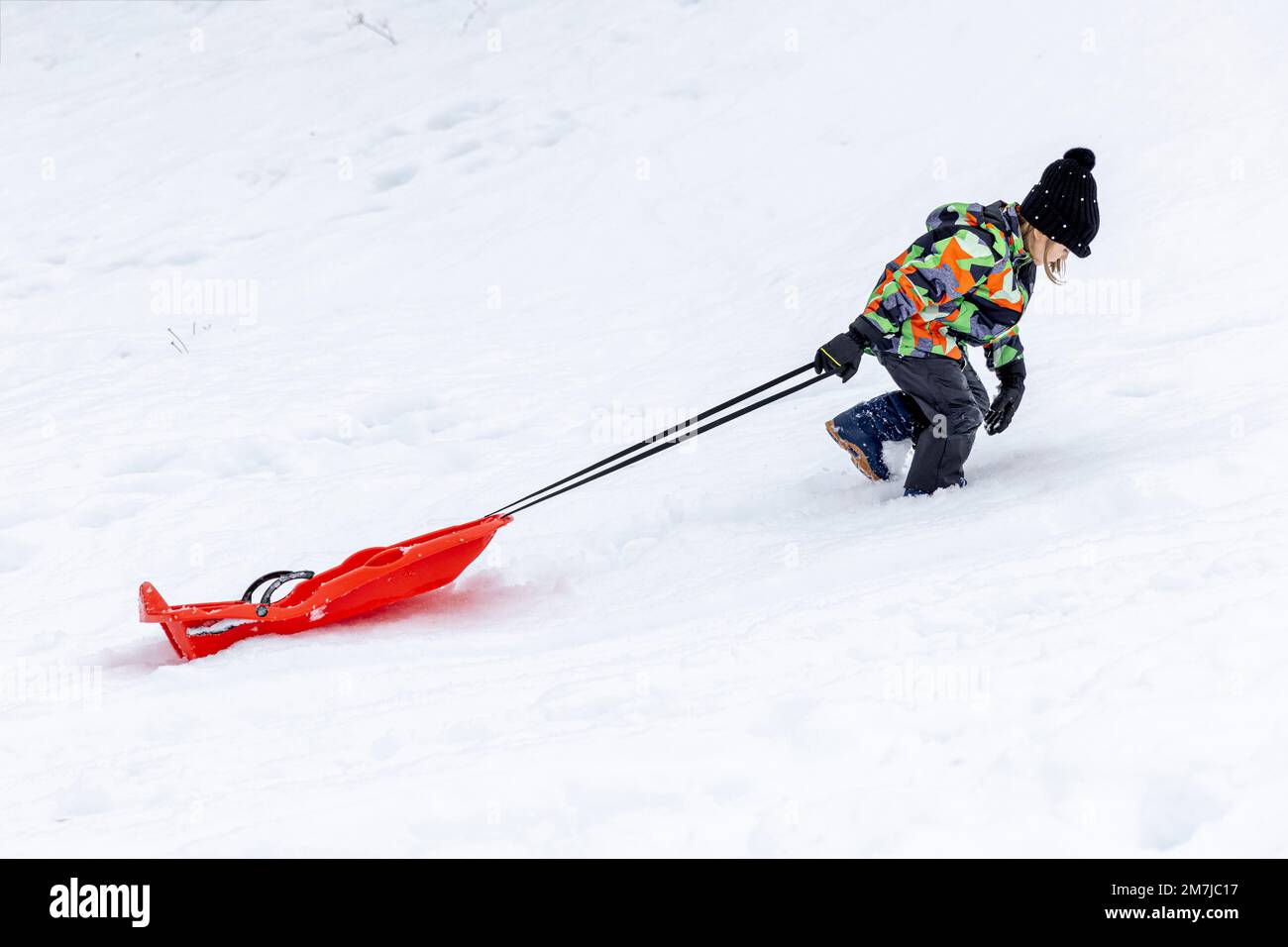 Ein kleines Weißes Mädchen zieht den Bobschlitten auf einer verschneiten Strecke. Stockfoto
