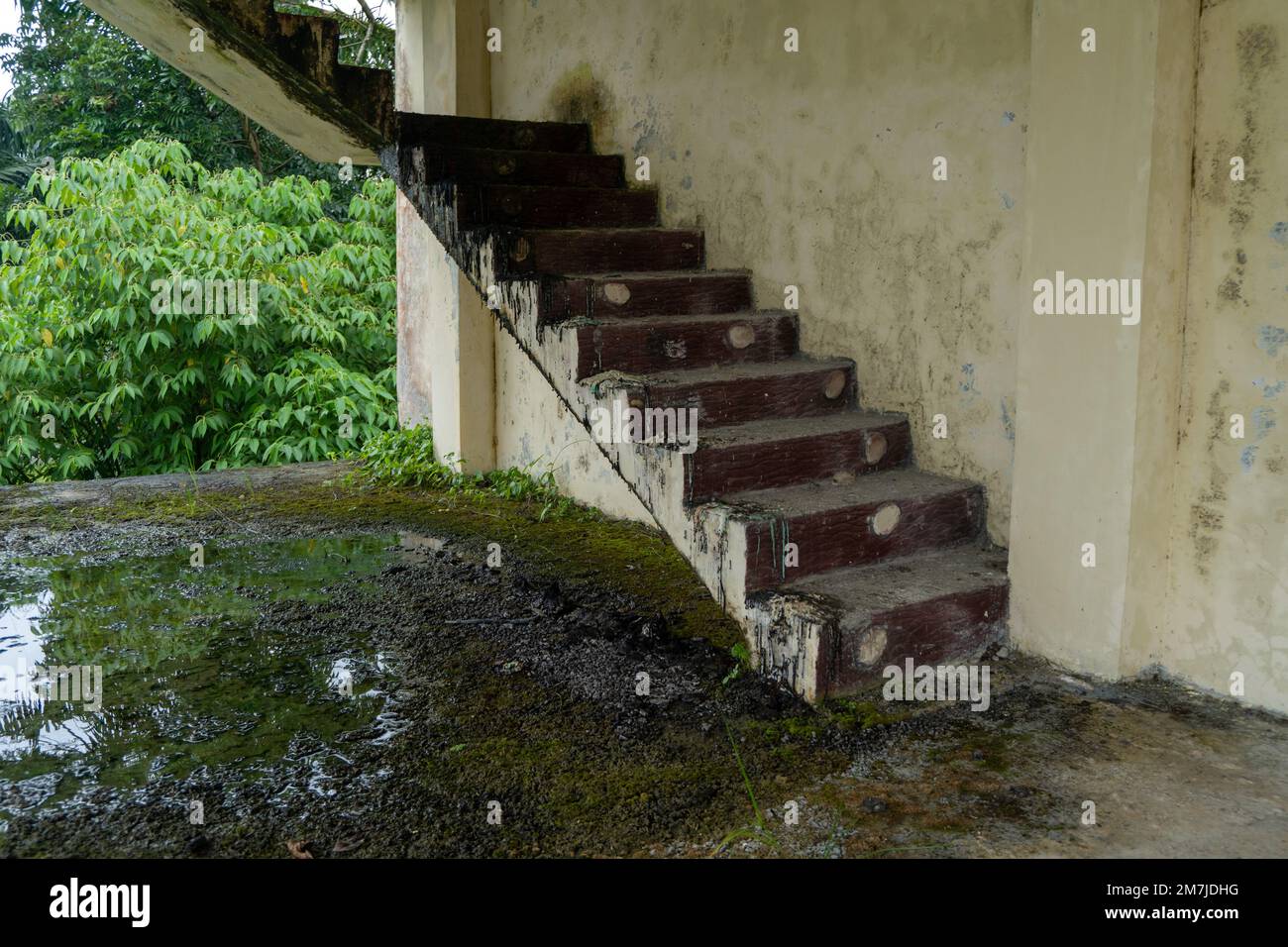 Verlassene Treppen mit moosem Material in feuchter Landschaft Stockfoto