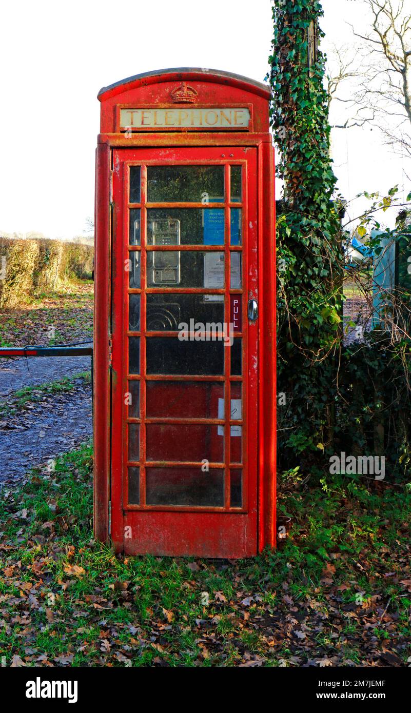 Eine rote öffentliche Telefonzelle am Pleasure Boat Dyke vor Hickling Broad auf den Norfolk Broads in Hickling. Norfolk, England, Vereinigtes Königreich. Stockfoto