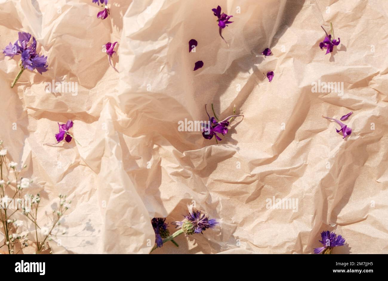 Blumenzusammensetzung Kräuterblütenhintergrund Papier Stockfoto