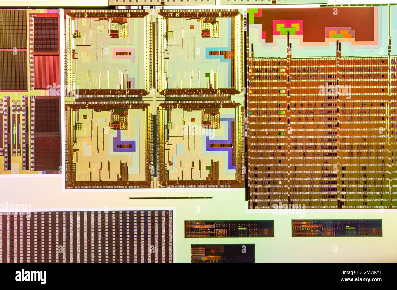 Silizium-Wafer mit Mikrochips, die in der Elektronik für die Herstellung von integrierten Schaltungen verwendet werden. Stockfoto