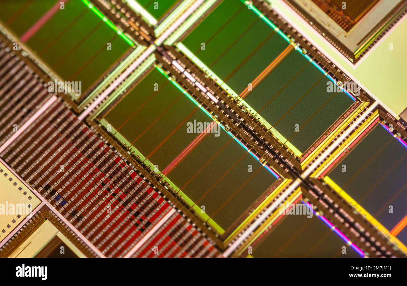 Silizium-Wafer mit Mikrochips, die in der Elektronik für die Herstellung von integrierten Schaltungen verwendet werden. Stockfoto
