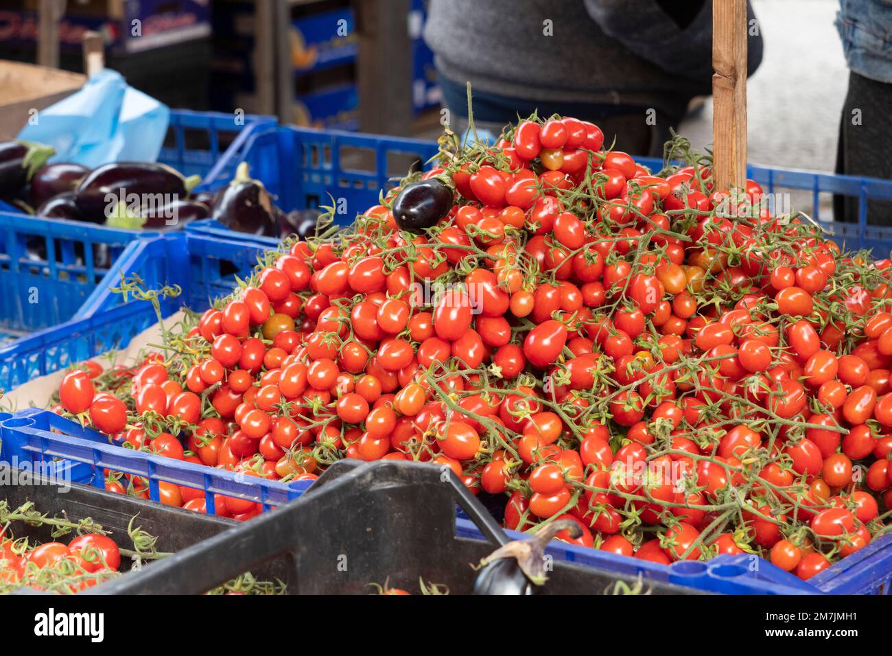 Sizilianische Tomaten zum Verkauf auf dem Ballarò-Markt in Palermo Stockfoto