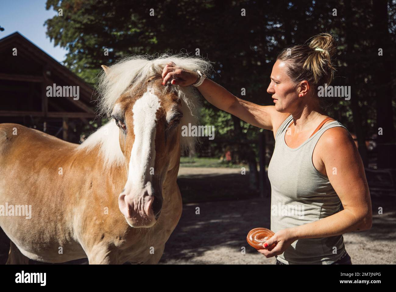 Eine Trainerin, die die Pferdehaare pflegt und sie in einem Zopf flechten lässt Stockfoto