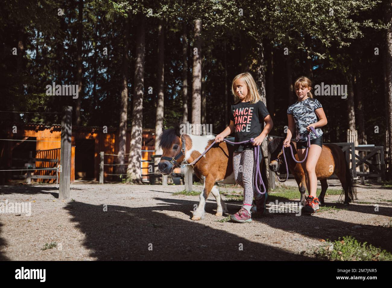 Junge Mädchen spazieren mit ihren Ponys auf der Ranch an einem wunderschönen sonnigen Sommertag draußen Stockfoto