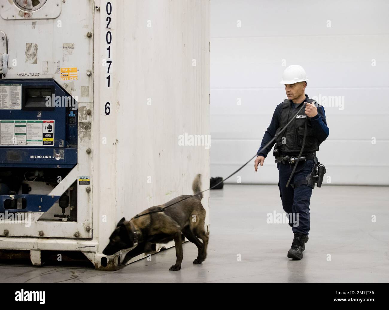 ROTTERDAM - Ein Spürhund während einer Präsentation des schwer bewaffneten Sonderhilfsteams der Zollbehörden. Das Team bekämpft Drogenkriminalität im Hafen von Rotterdam. ANP SEM VAN DER WAL niederlande raus - belgien raus Stockfoto