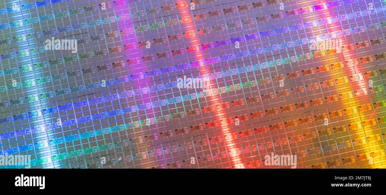 Silizium-Wafer und Mikroschaltungen, ein Stück Halbleitermaterial, das in der Elektronik für die Herstellung von integrierten Schaltungen verwendet wird. Stockfoto