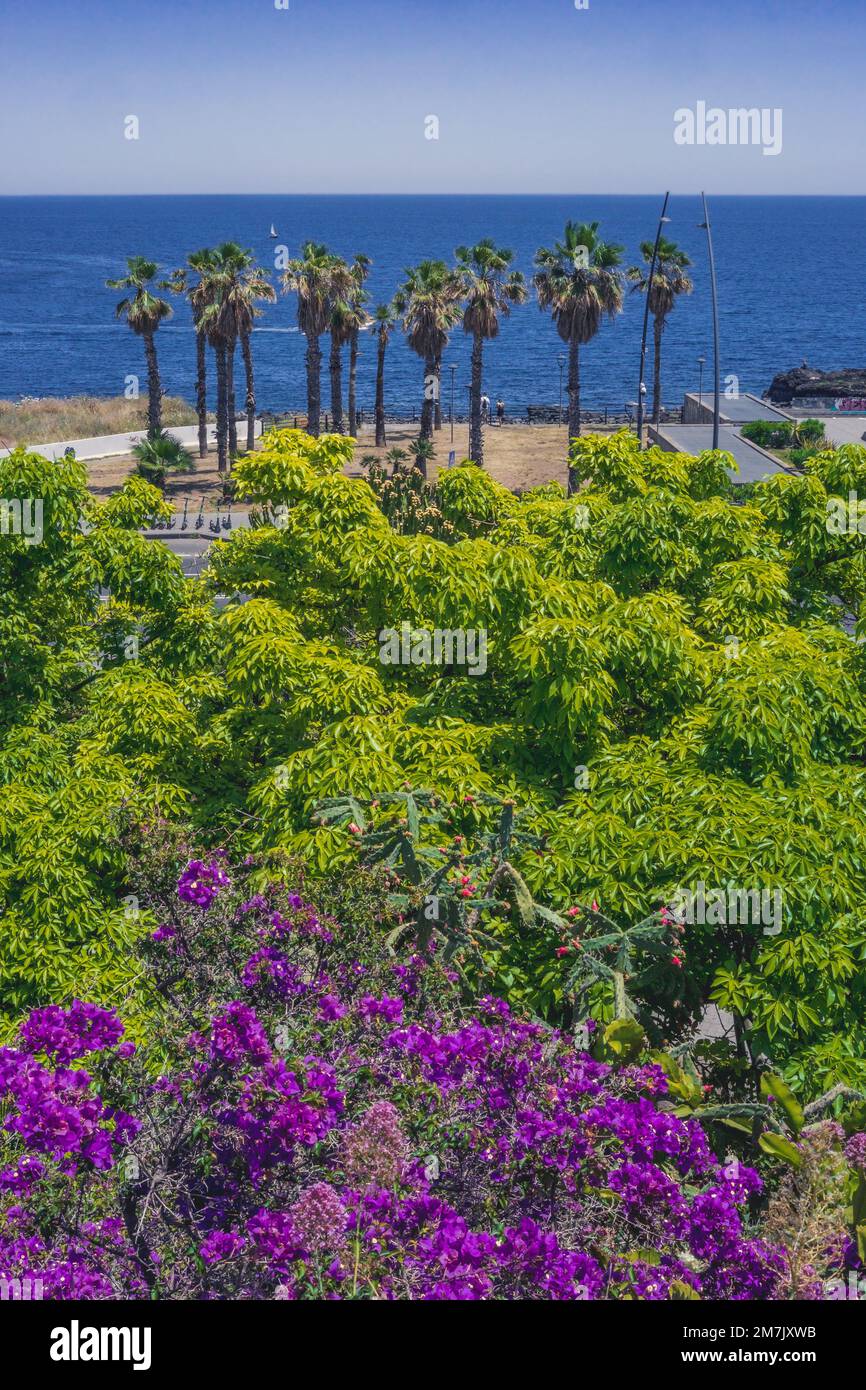 Catania City Ufer mit üppiger, farbenfroher, heller und herrlicher Vegetation. Provinz Catania, Sizilien, Italien Stockfoto