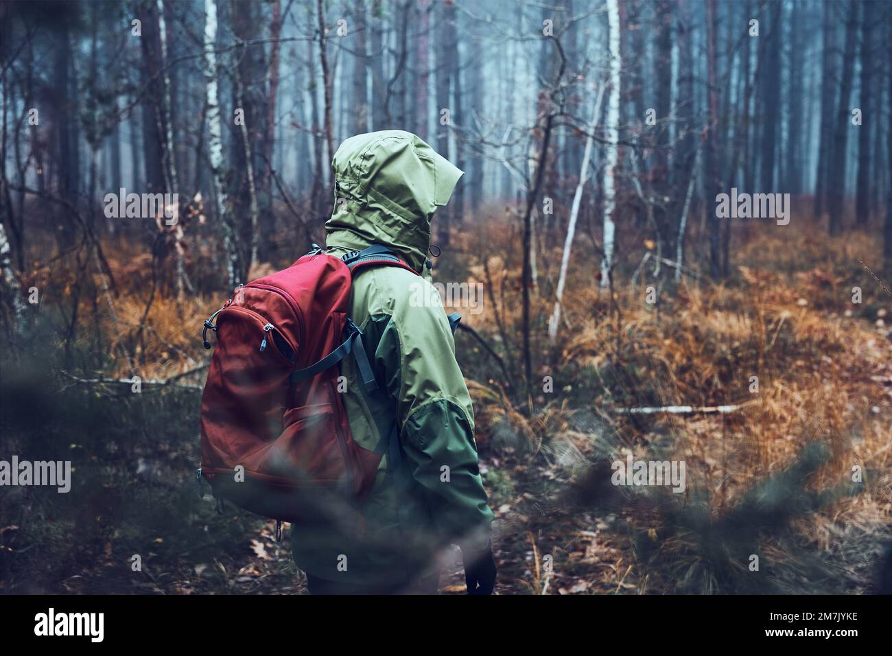 Frau mit Rucksack, die am kalten Herbsttag in einem Wald umherstreift. Rückansicht der aktiven Frau mittleren Alters, die entlang Waldweg aktiv Zeit verbringt Stockfoto