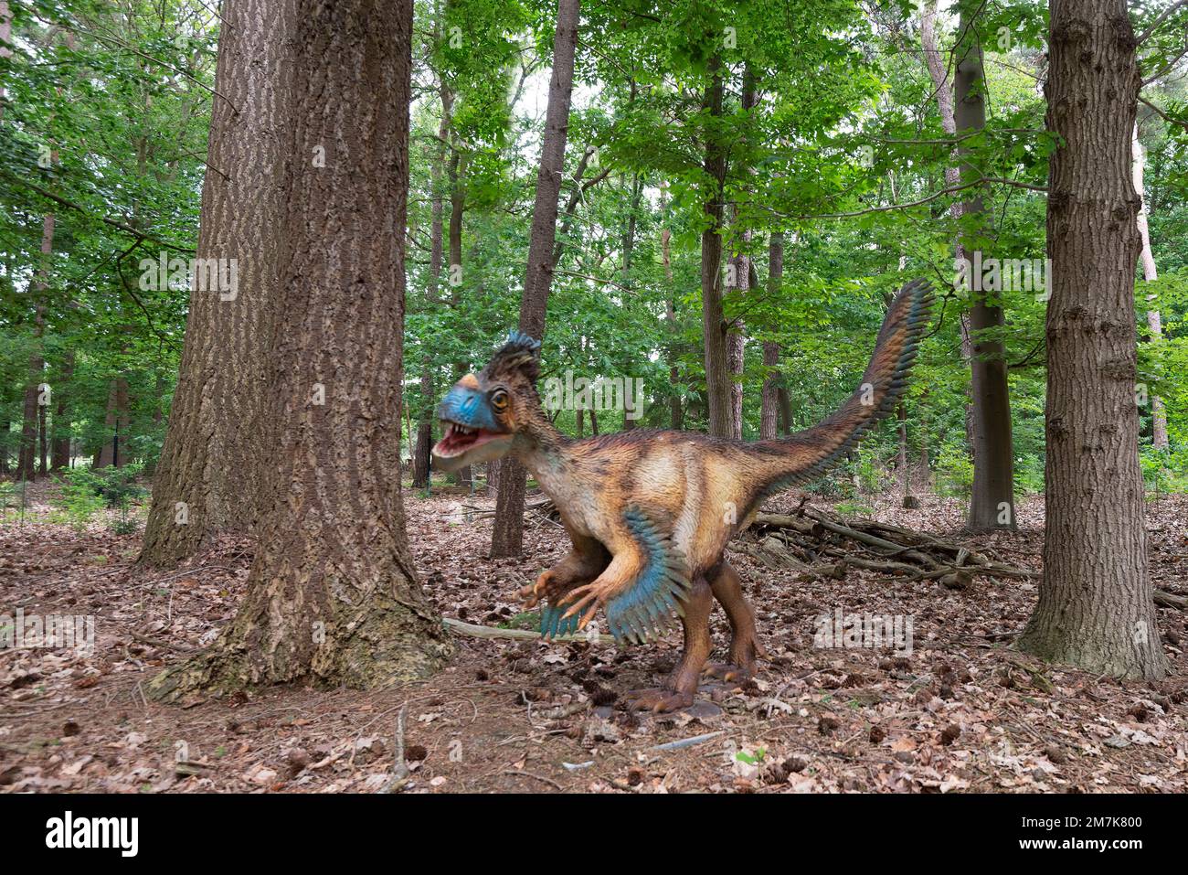 Oertijdmuseum-Boxtel-12-06-2022: Ornitholestes im Waldmuseum, Niederlande Stockfoto