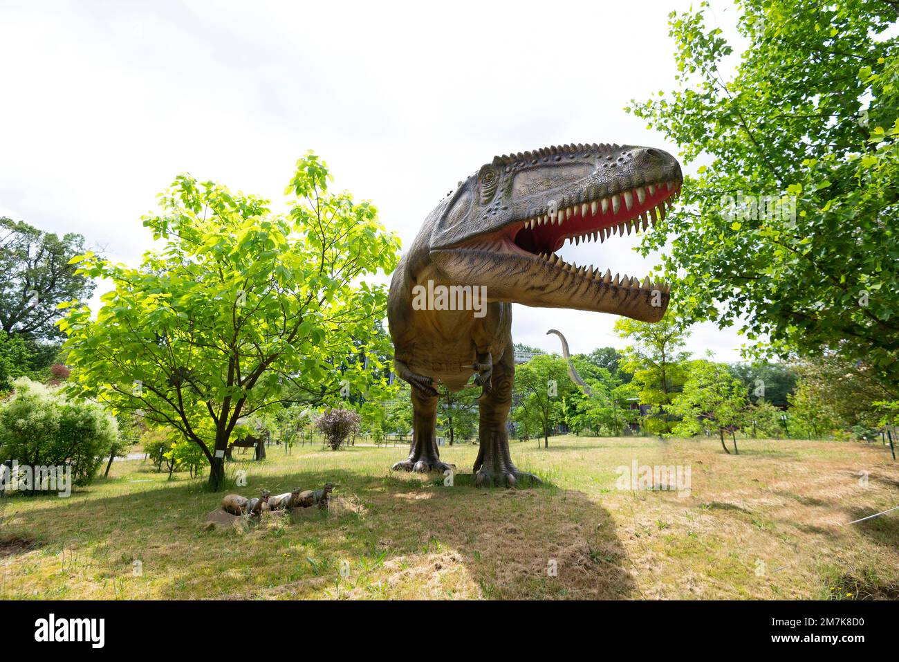 Oertijdmuseum-Boxtel-12-06-2022: Giganotosaurus in Dinoparc, Niederlande Stockfoto