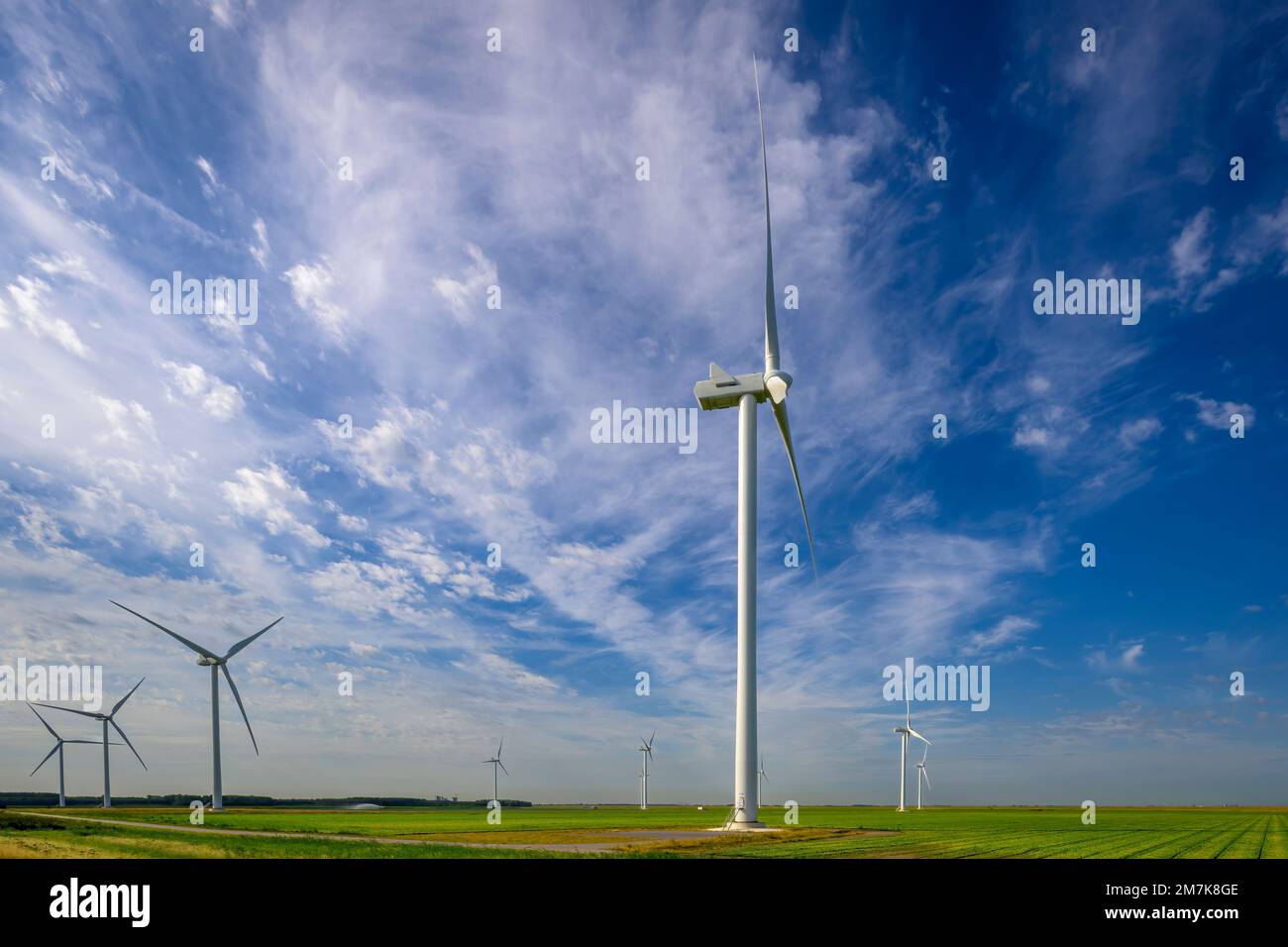 Moderne Windmühlen für die Energiewende in typisch niederländischer landwirtschaftlicher Landschaft, Niederlande. Stockfoto