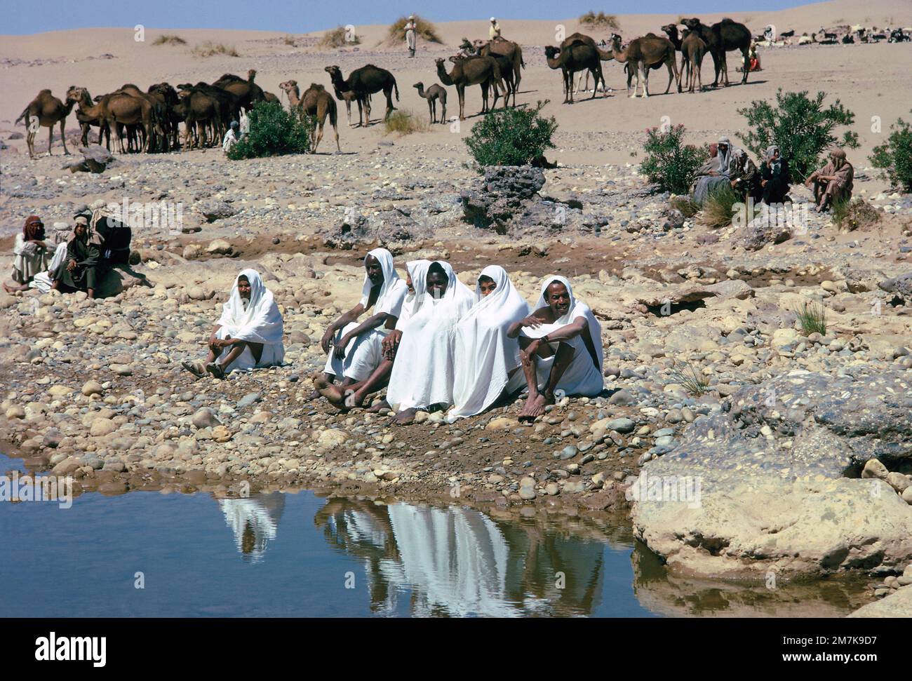 Afrika. Marokko. Sahara-Region. Beduinische Kamelhändler sitzen am Wasserloch. Stockfoto