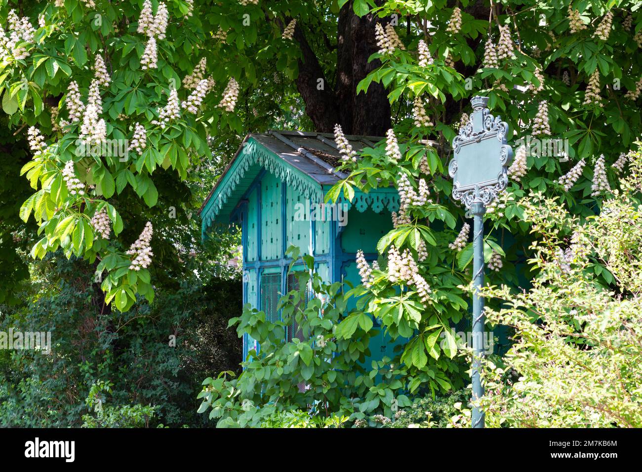 Kastanienblüten im Buttes Chaumont Garden in Paris, Frankreich Stockfoto