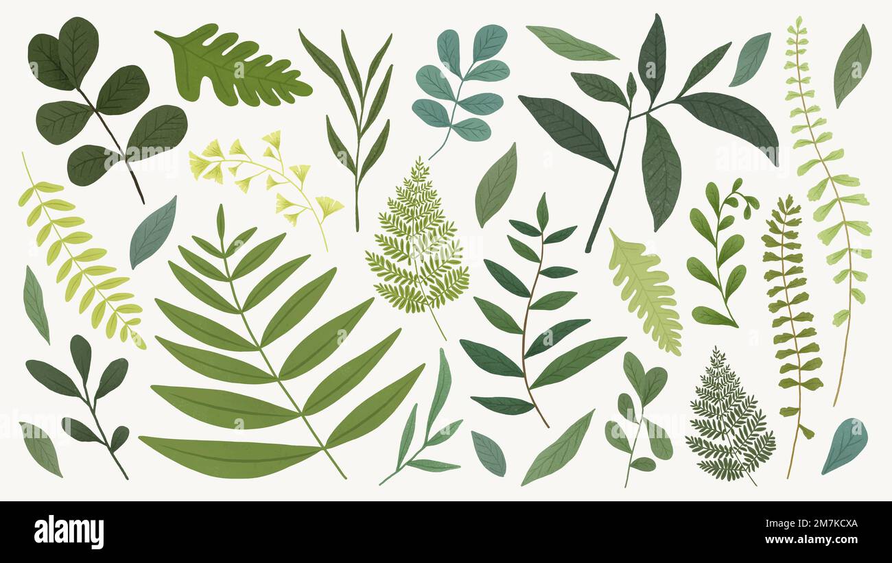Grünes Blatt Design-Element auf einem beigen Hintergrund Vektor gesetzt Stock Vektor