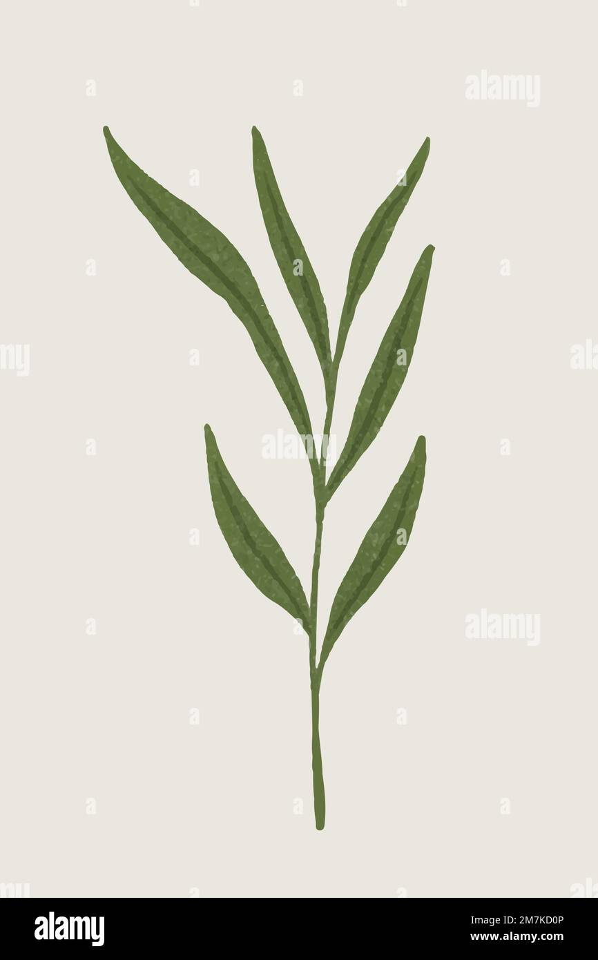 Zweig mit grünen Blättern Design-Element Stock Vektor