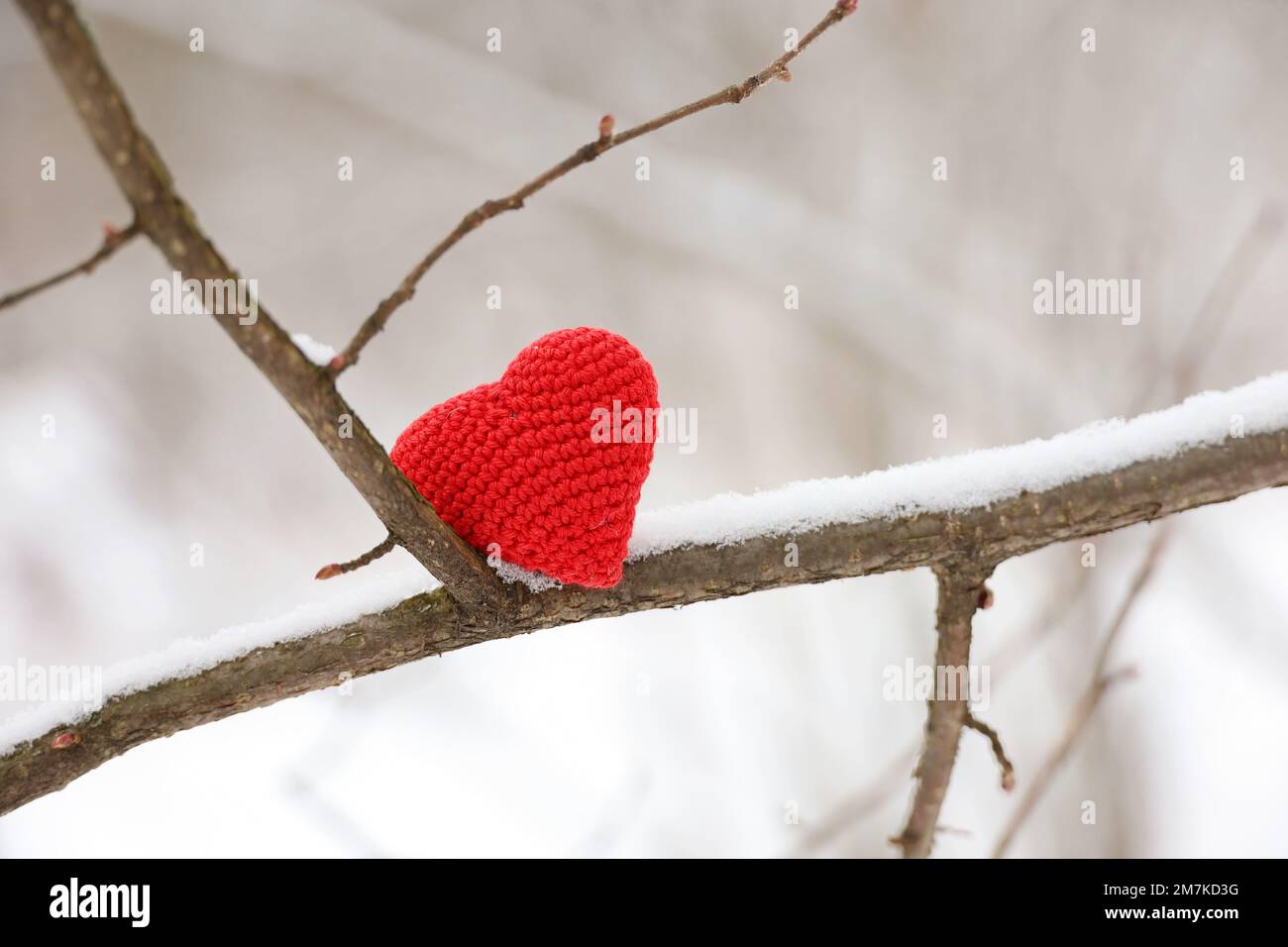 Valentinsherz auf einem mit Schnee bedeckten Ast im Winterwald. Rotes Stricksymbol der Liebe, Konzept der Neujahrsfeier oder Valentinstag Stockfoto