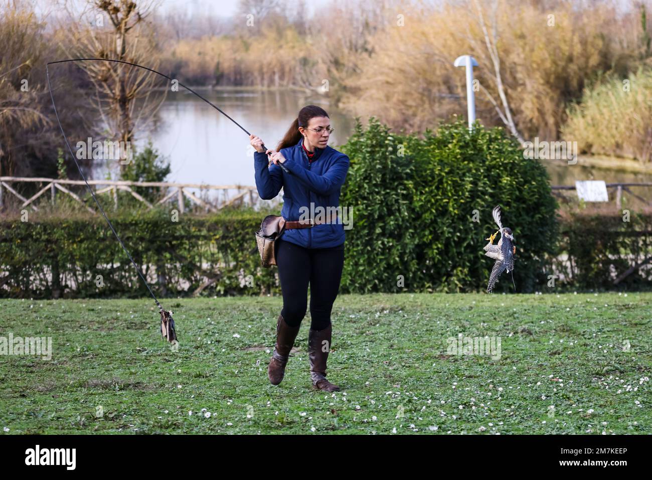 Riccione, Italien. 31. Dezember 2022. Ein allgemeiner Blick auf einen Falken im Oltremare Theme Park am 31. Dezember 2022 in Riccione, Italien (Foto von Alessandro Bremec/NurPhoto) Kredit: NurPhoto SRL/Alamy Live News Stockfoto