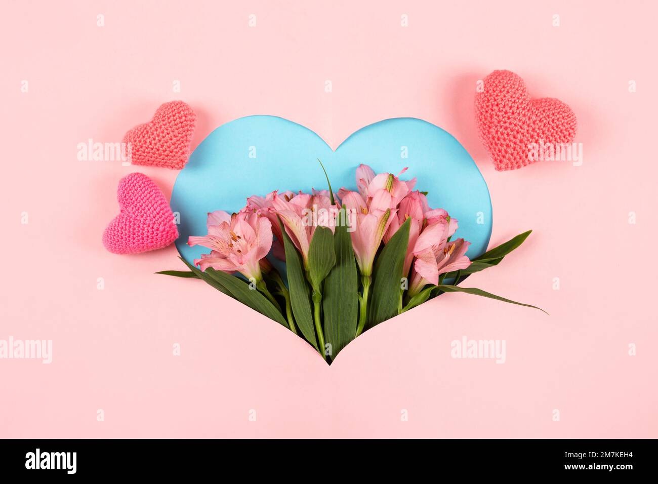 Zusammensetzung der lila Blüten Alstroemeria mit einem gestrickten rosa Herz auf rosa Hintergrund in Form eines Herzens. Valentinstagskonzept, Grüße Stockfoto