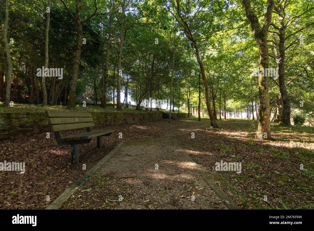 Eine Bank befindet sich in einem wunderschönen Park inmitten eines Eichenwaldes in O Rosal. Stockfoto
