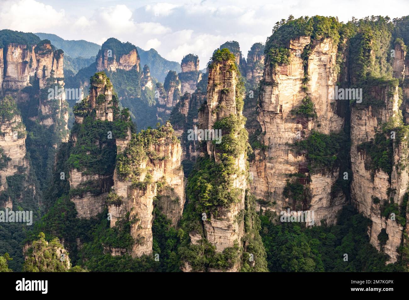 Majestätische Landschaft in den Avatar Mountains. Panoramablick durch das Tal der Klippen und Berge. Zhangjiajie Forest Park in China. Stockfoto