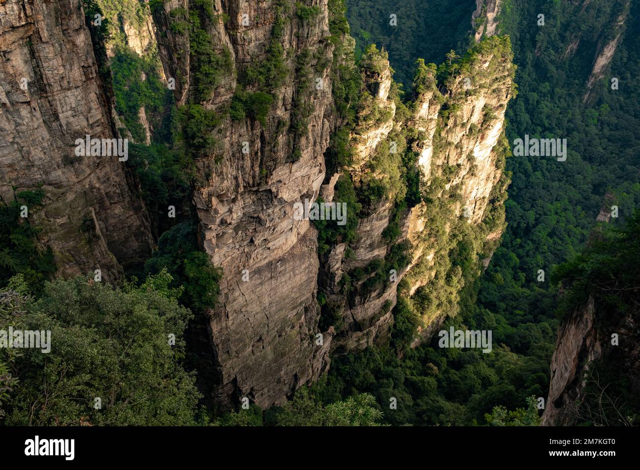 Sonnenuntergang im Zhangjiajie Forest Park. Nahaufnahme des Canyons während der goldenen Stunde. Wunderschöner Sonnenuntergang im Avatar Mountain Valley. Einzigartige Felsformen. Stockfoto