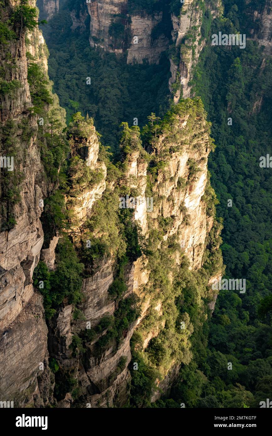 Sonnenuntergang im Zhangjiajie Forest Park. Nahaufnahme des Canyons während der goldenen Stunde. Wunderschöner Sonnenuntergang im Avatar Mountain Valley. Einzigartige Felsformen. Stockfoto