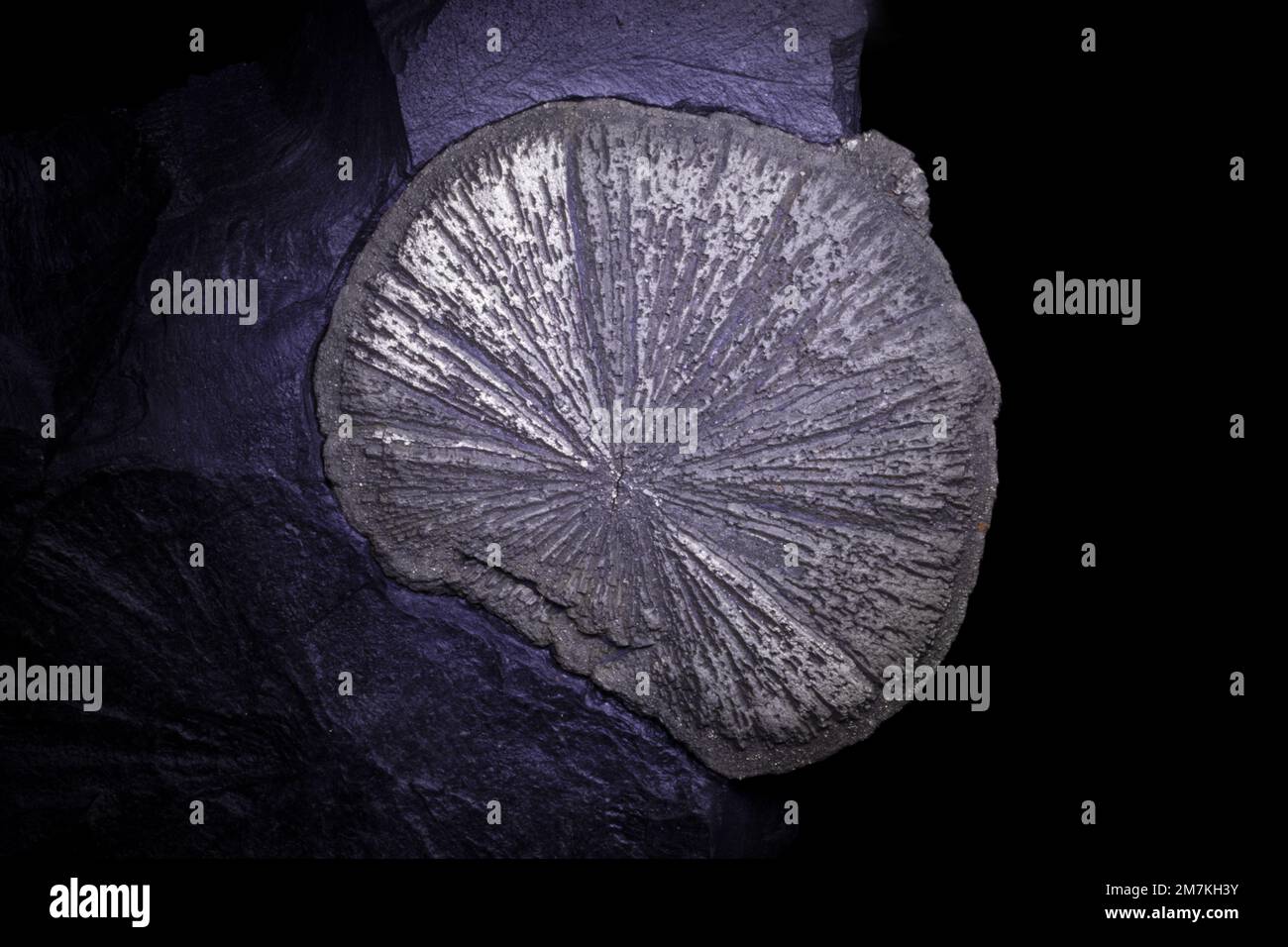 Steine und Mineralien, Marcassite Pyrite Eisenerz, Laborprobe Stockfoto