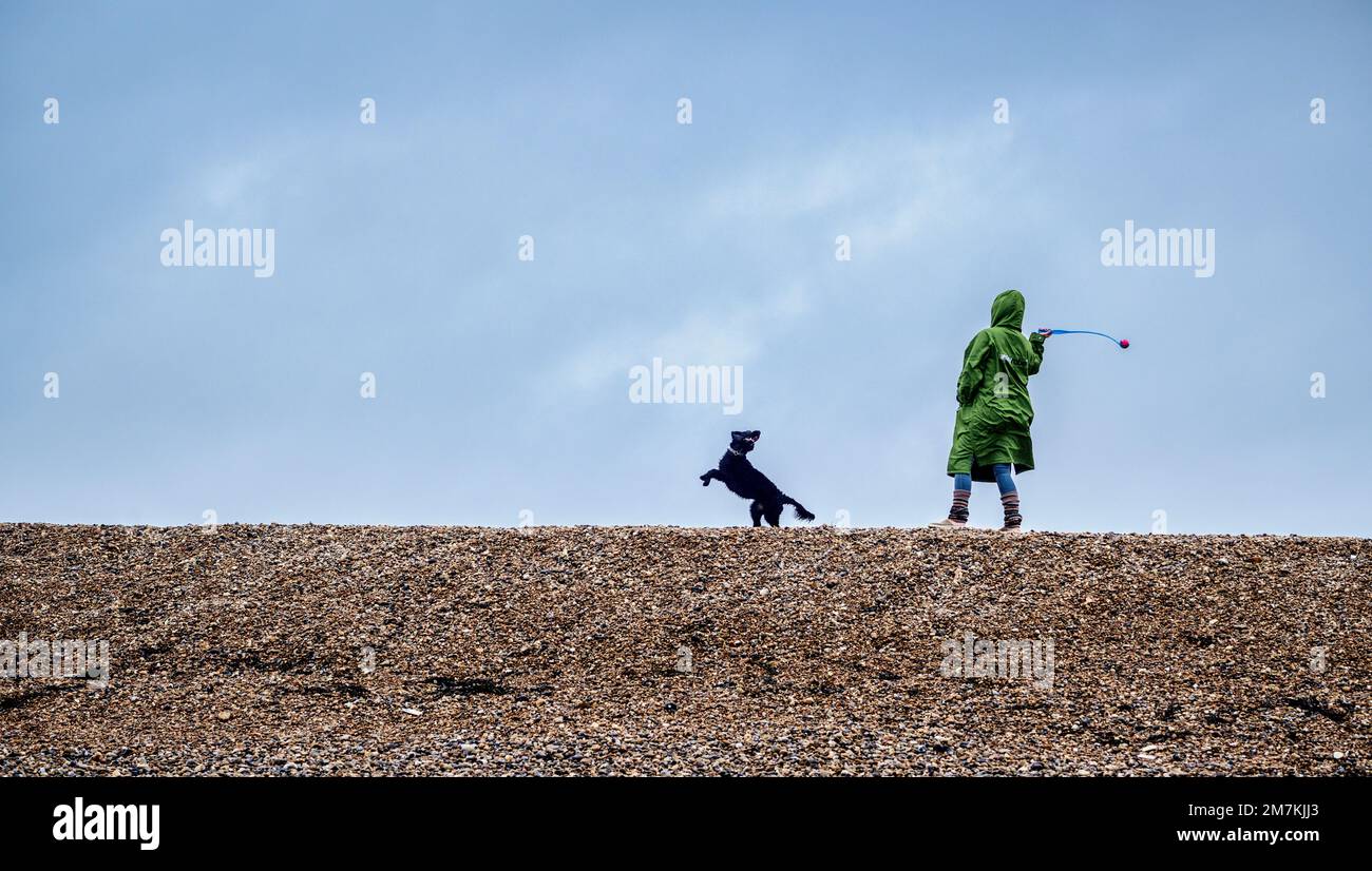 Eine Hundeführerin wirft einen Ball für ihren begeisterten Hund am Strand von Seaford vor einem großen Himmel. Stockfoto