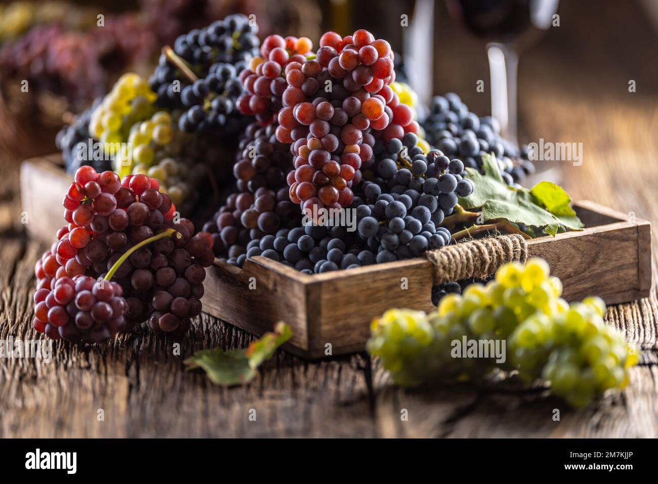 Saftige Traubenbündel in einer Holzkiste, Rotwein im Hintergrund. Stockfoto