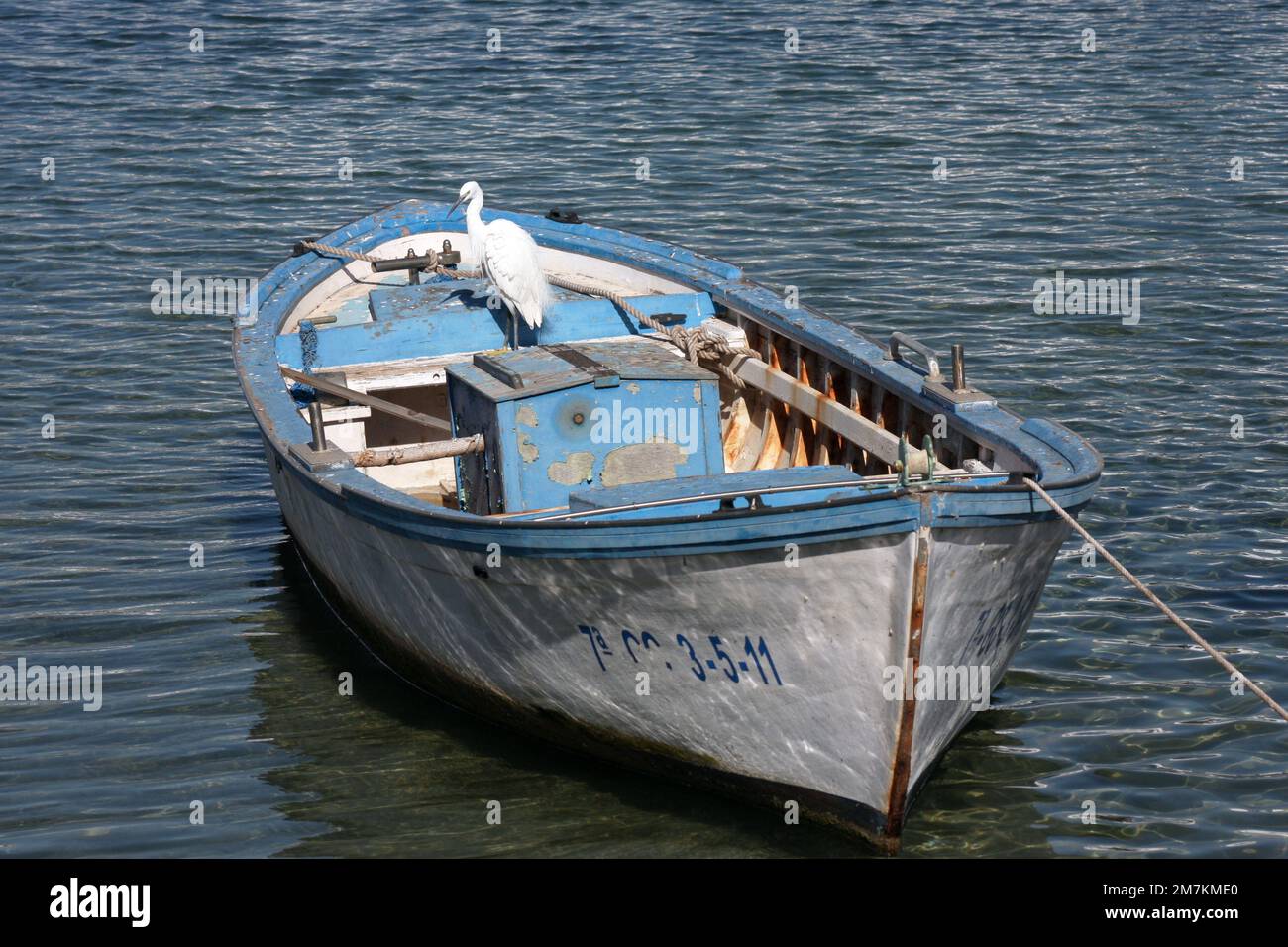 Ein bisschen Egret Angeln mit einem kleinen Boot im alten Hafen Arrecife Lanzarote Stockfoto