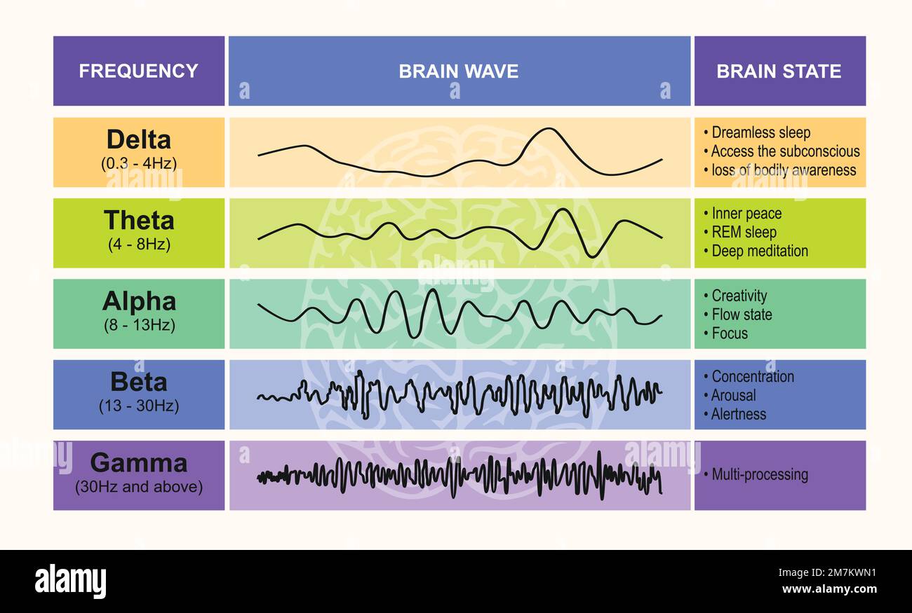 Ein Satz Hirnwellen-Oszillationen. Alpha, Beta, Theta, Delta und Gamma sind die fünf Wellenfunktionen des Gehirns. Infografik zum menschlichen Geistesrhythmus Stock Vektor