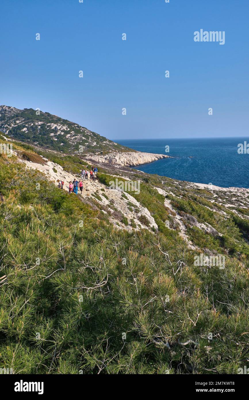 Marseille (Südostfrankreich): Küstenlandschaft entlang der „Calanques“ (felsige Buchten). Touristen, Wanderer auf dem Küstenweg entlang der "Calanques" ( Stockfoto