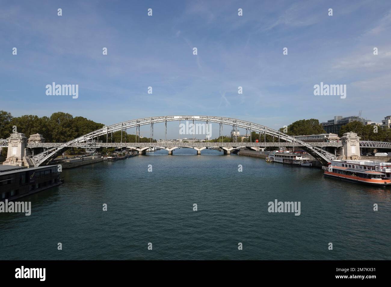 Frankreich, Paris, Viaduc d'Austerlitz (Austerlitz Viaduct) ist eine einstöckige Eisenbahnbrücke mit Stahlbogen, die die seine Photo kreuzt © Fabio Mazzarella/Si Stockfoto